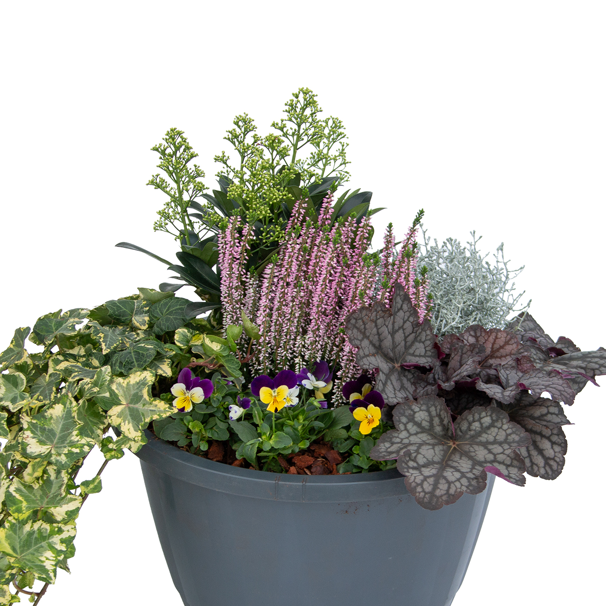 Winterbeplanting "Wolf" Megamaxx hangpot